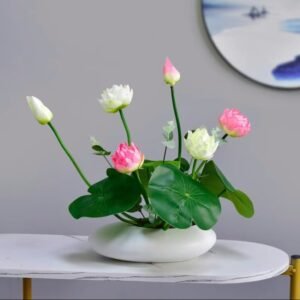 Lotus Seeds – 20/60 Easy to Grow Gorgeous Hydroponic Flowers