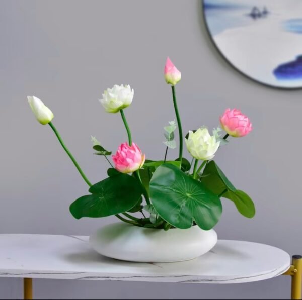20/60 lotus seeds, easy to grow hydroponics, blooming gorgeous flowers