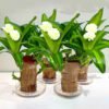 Brazilian lucky wood, bring you good luck, increase wealth - Image 4