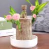 Brazilian lucky wood, bring you good luck, increase wealth - Image 2