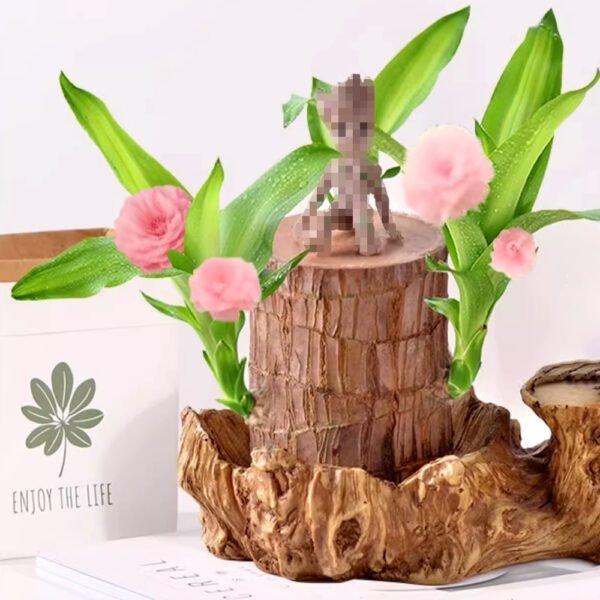 Brazilian lucky wood, bring you good luck, increase wealth