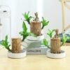 Brazilian Lucky Wood – Bring Good Luck and Increase Wealth